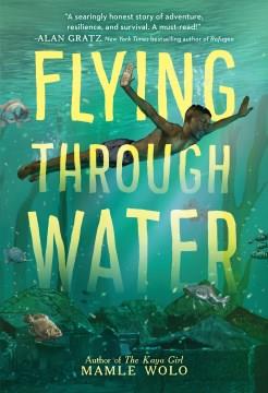 Flying through water Book cover