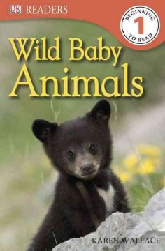 Wild baby animals Book cover