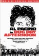 Go to record Dog day afternoon