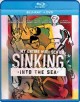 Go to record My entire high school sinking into the sea