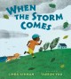 Go to record When the storm comes