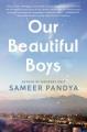 Go to record Our beautiful boys : a novel