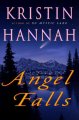 Go to record Angel falls