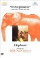 Go to record Elephant